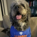 Los Angeles Mayor Karen Bass Orders Probe Into Fatal Dog Shooting by LAPD