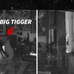 Big Tigger Appears to Assault Wife Alicia on Ring Camera Video