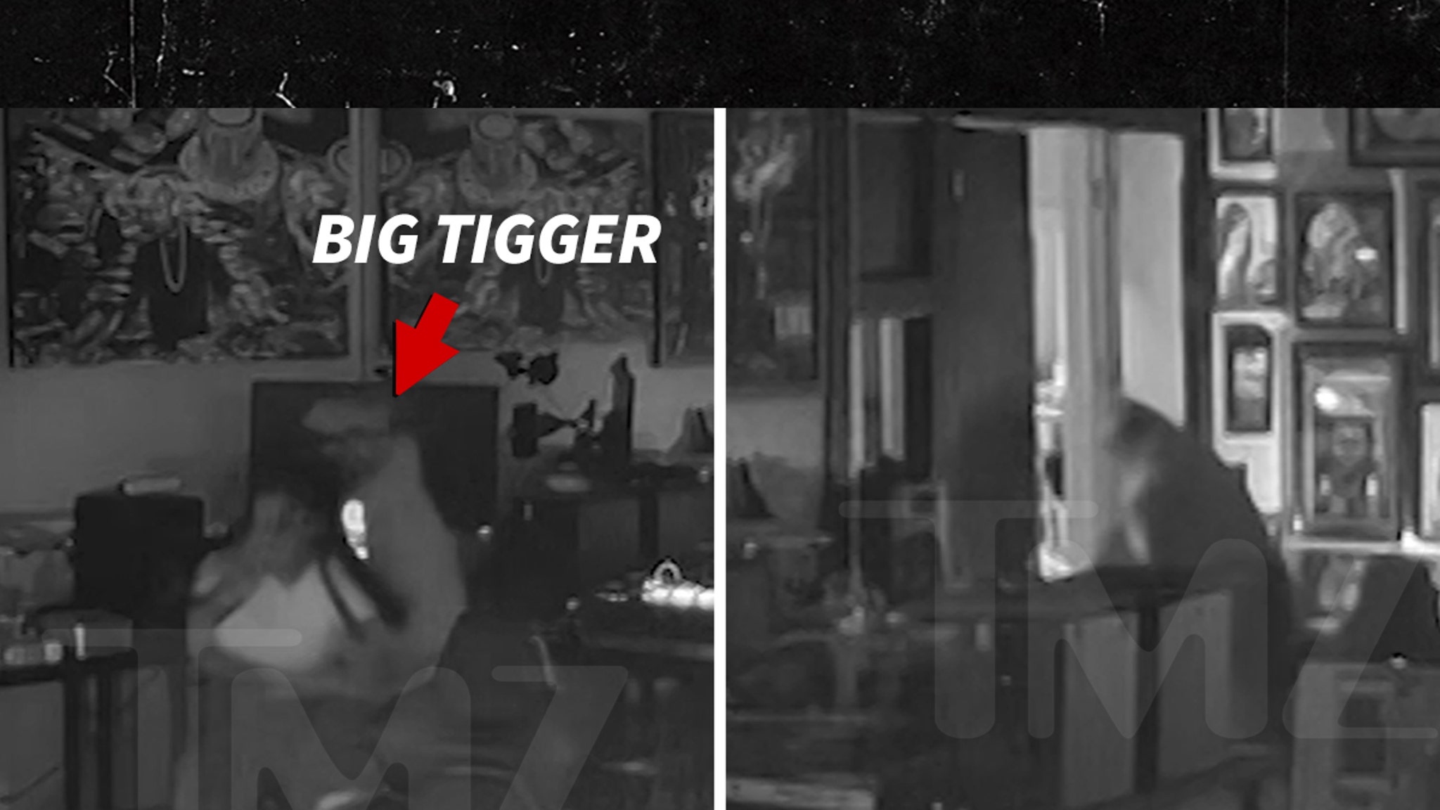 Big Tigger Appears to Assault Wife Alicia on Ring Camera Video