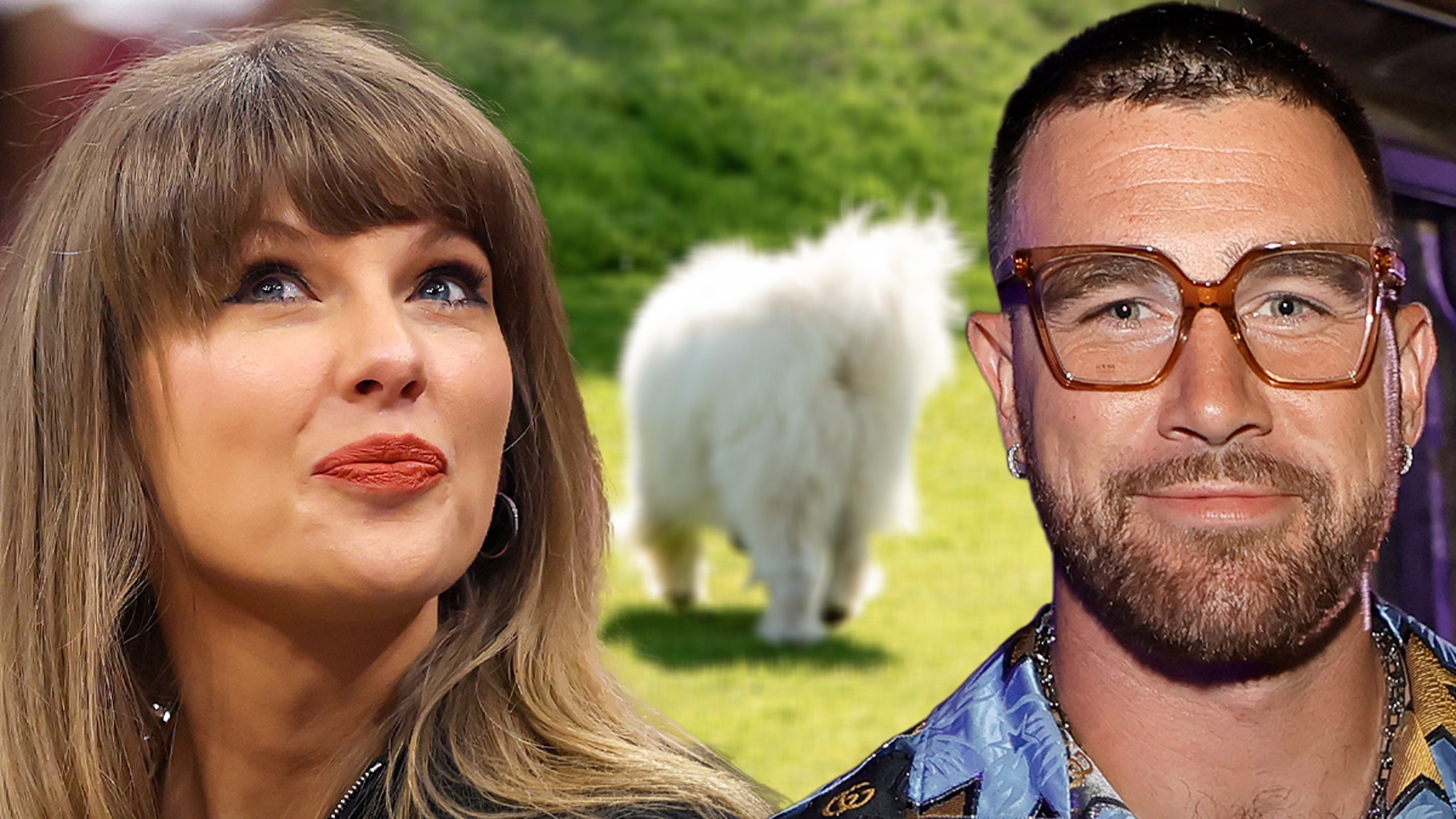 Taylor Swift and Travis Kelce’s Rumored Dog May Have Been Spotted On Her Private Jet