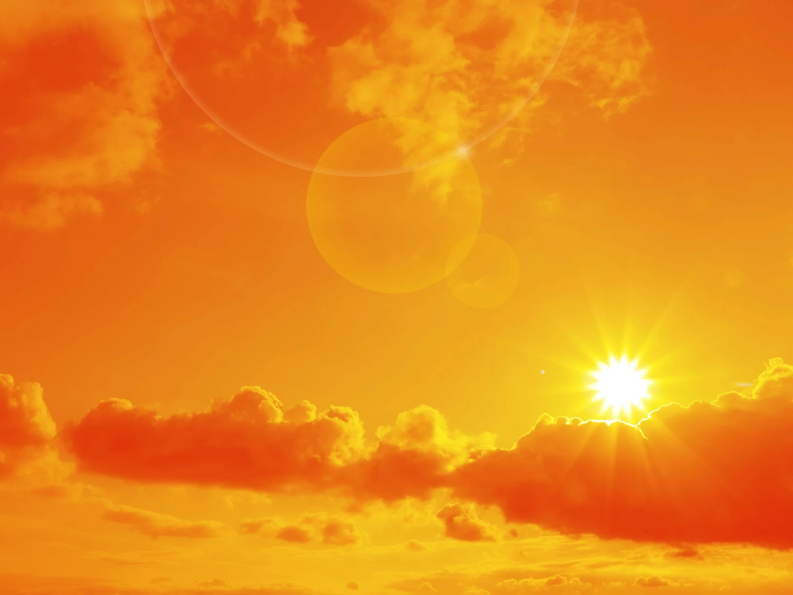European heatwave pushes up death toll in Germany, France, Netherlands
