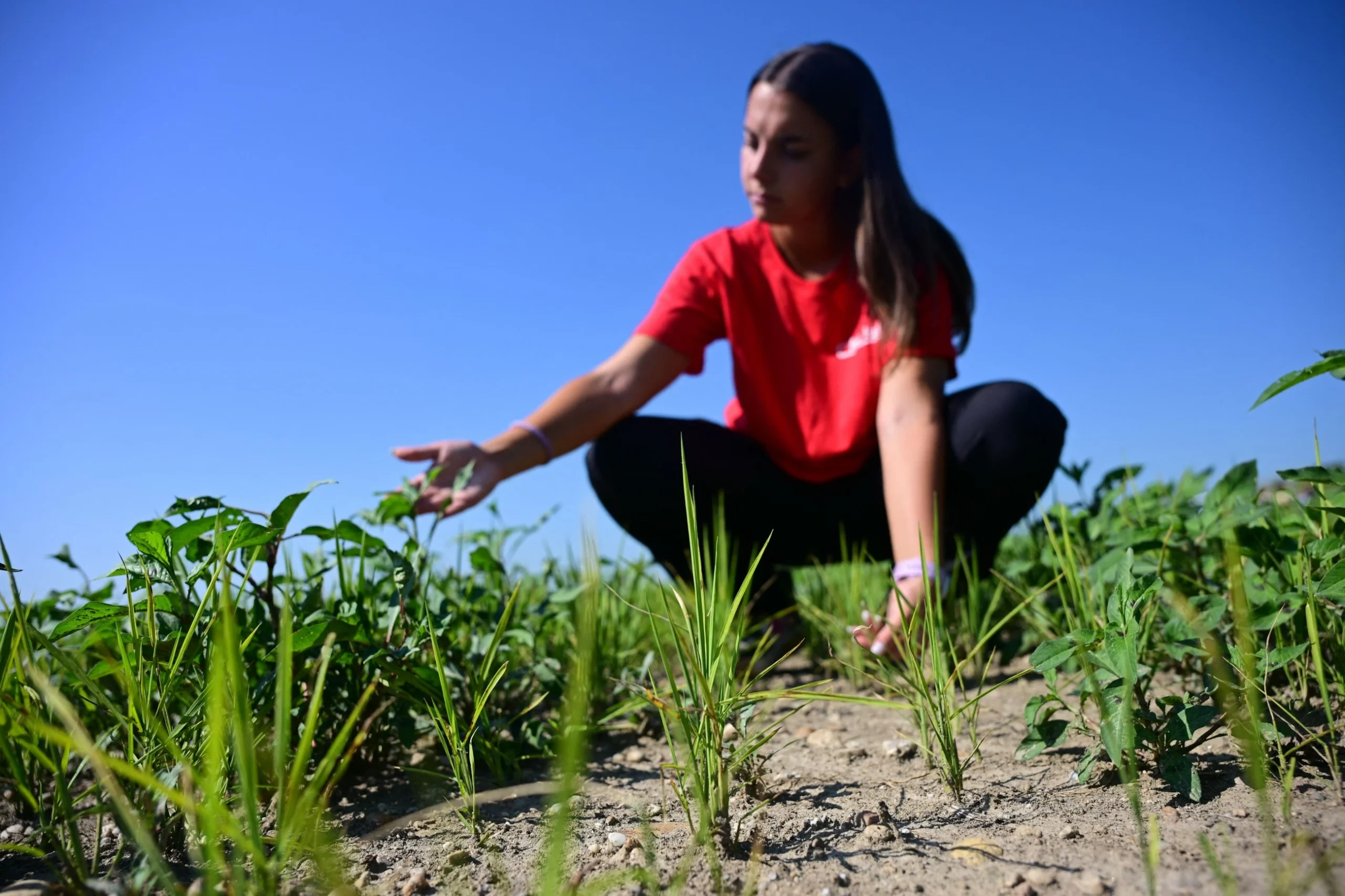 41 countries in need of external assistance for food due …