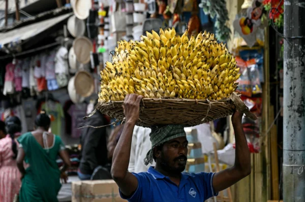IMF expects world economy to grow a sluggish 3% this year