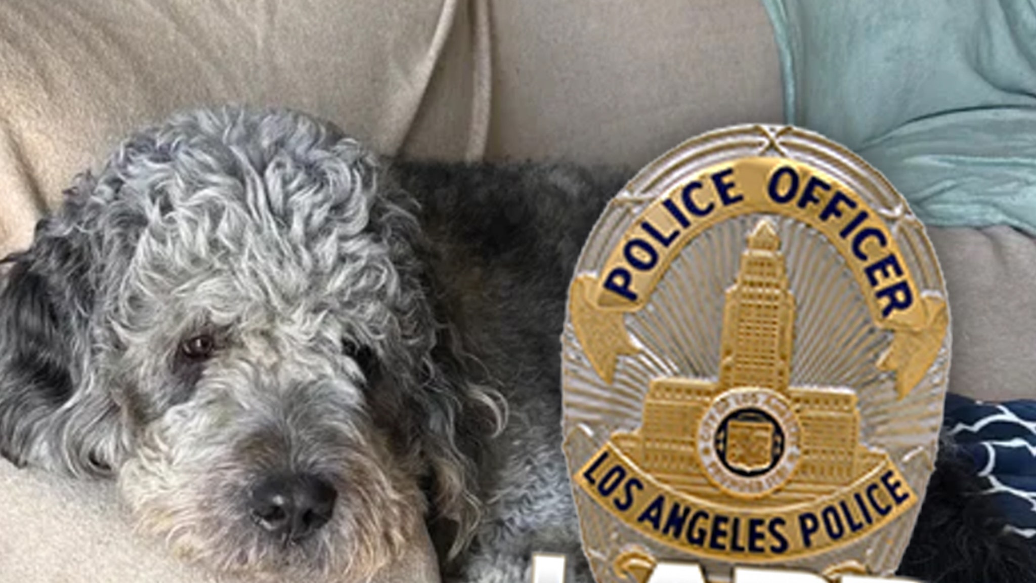Family of Dog Killed by LAPD During Knicks Game Celebration Sues City