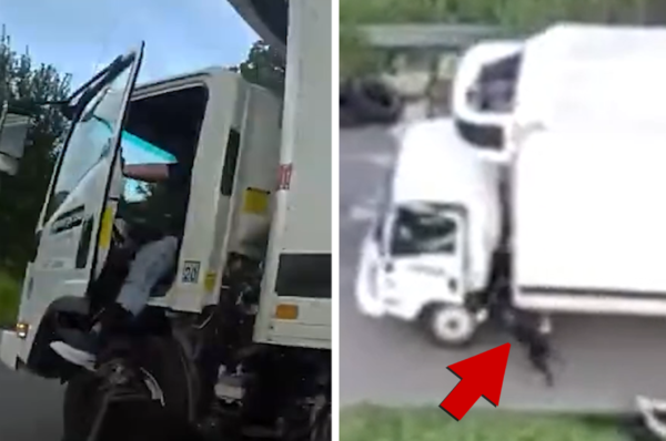 Police Dog Dragged by Truck After Latching Onto Fleeing Suspect, on Video