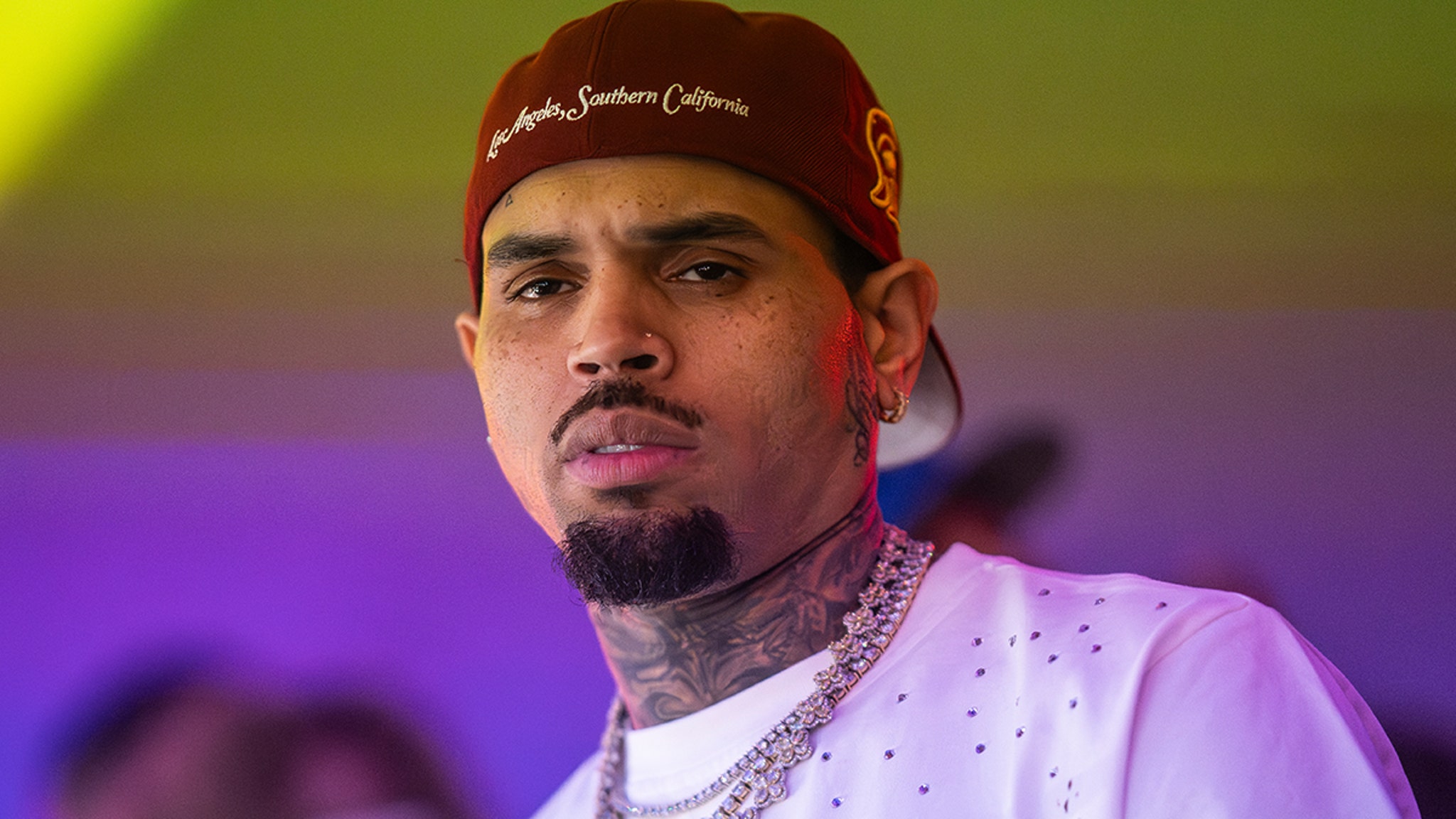 Chris Brown Ordered to Pay $13M Over Dog Attack